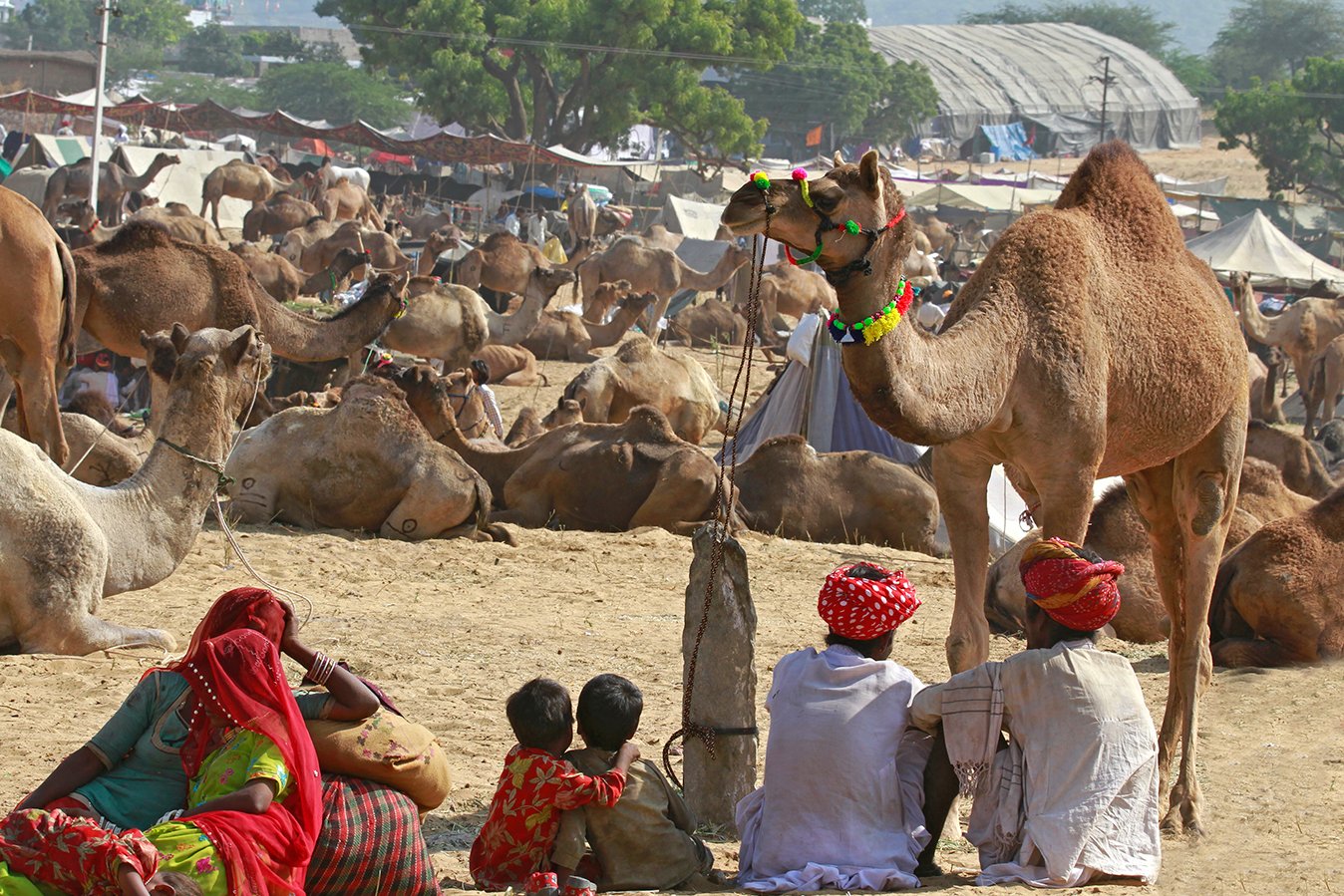 Rajasthan Cycling Tour with Pushkar Camel Fair 17 Days
